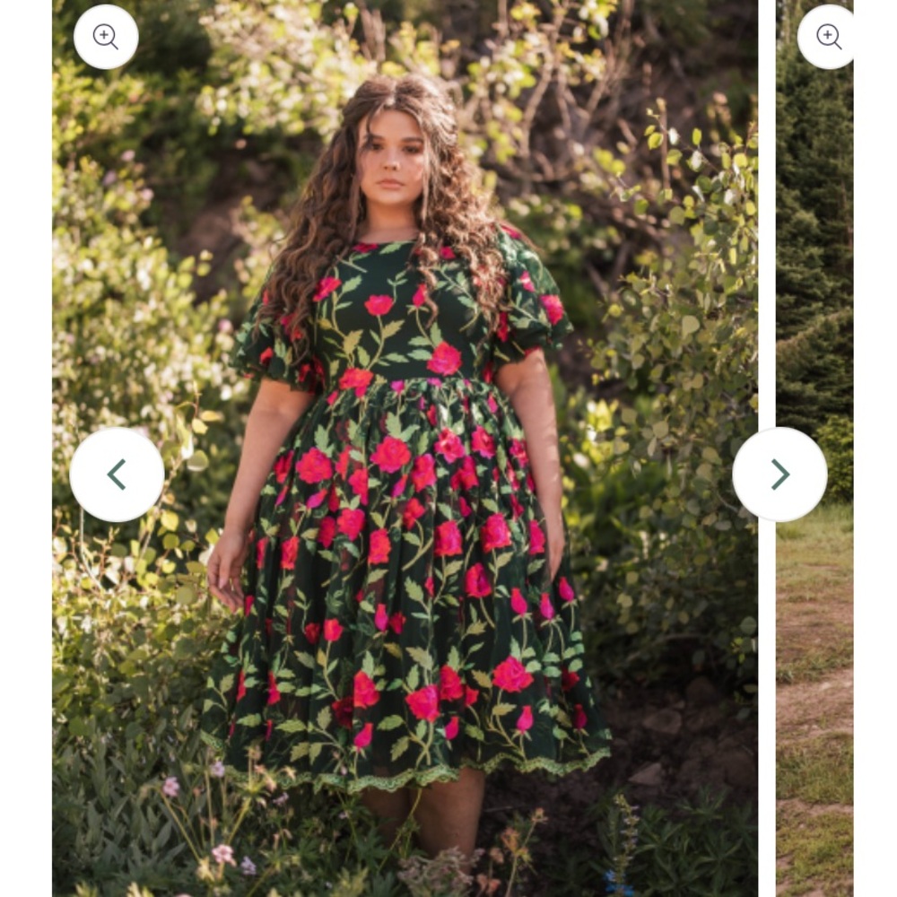 Rosetta dress new